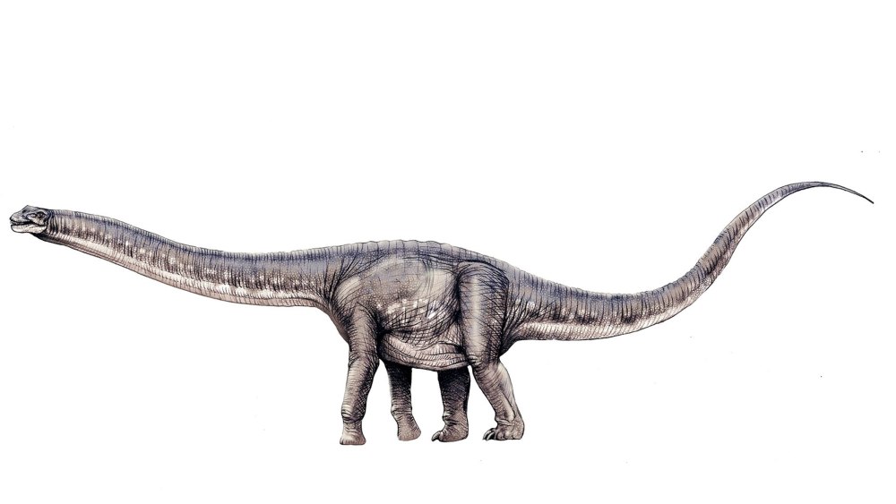 Argentinosaurus динозавр