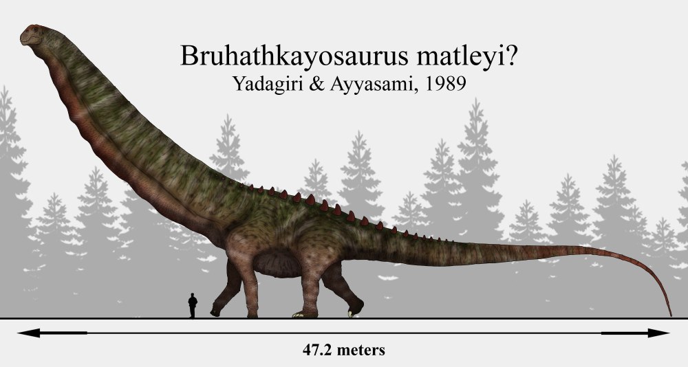 Bruhathkayosaurus matleyi