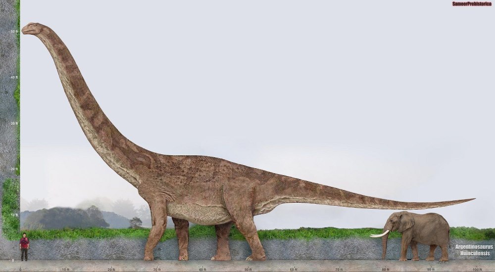Argentinosaurus huinculensis