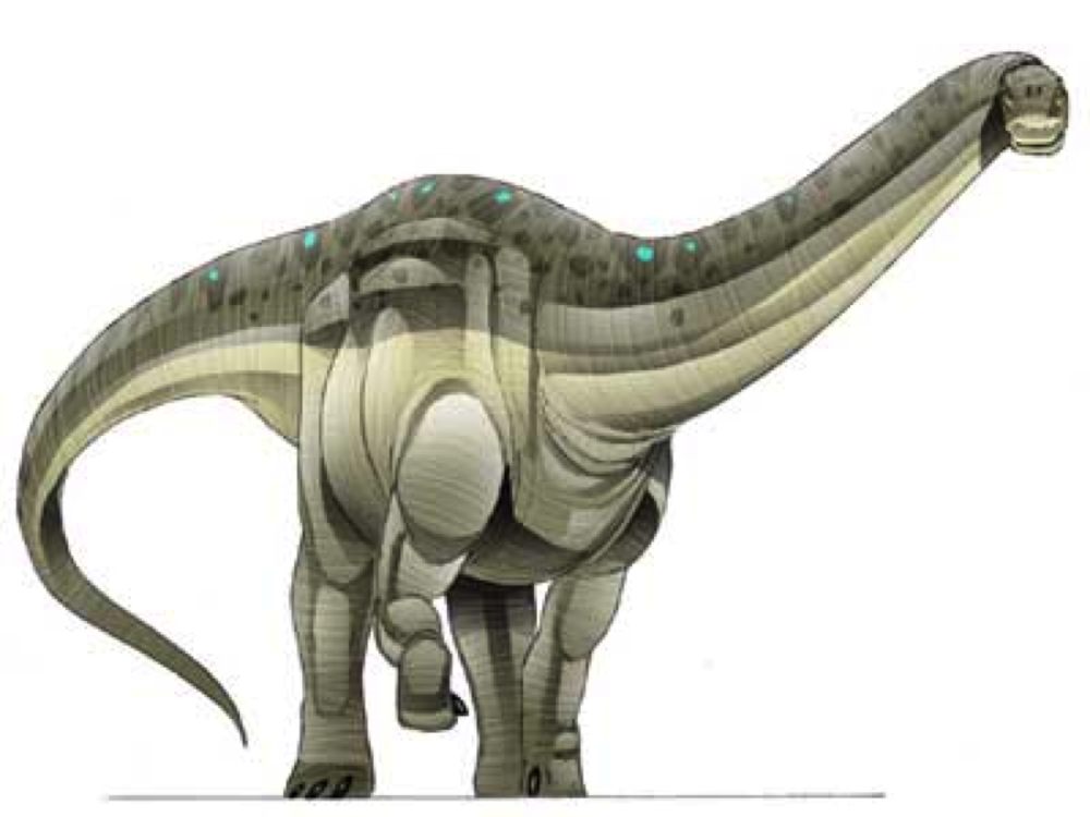 Bruhathkayosaurus matleyi