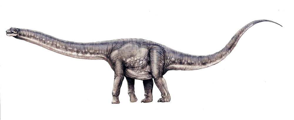 Argentinosaurus динозавр