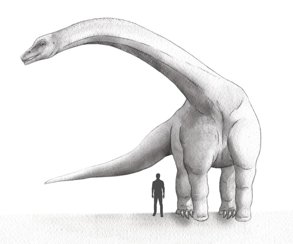 Dreadnoughtus schrani