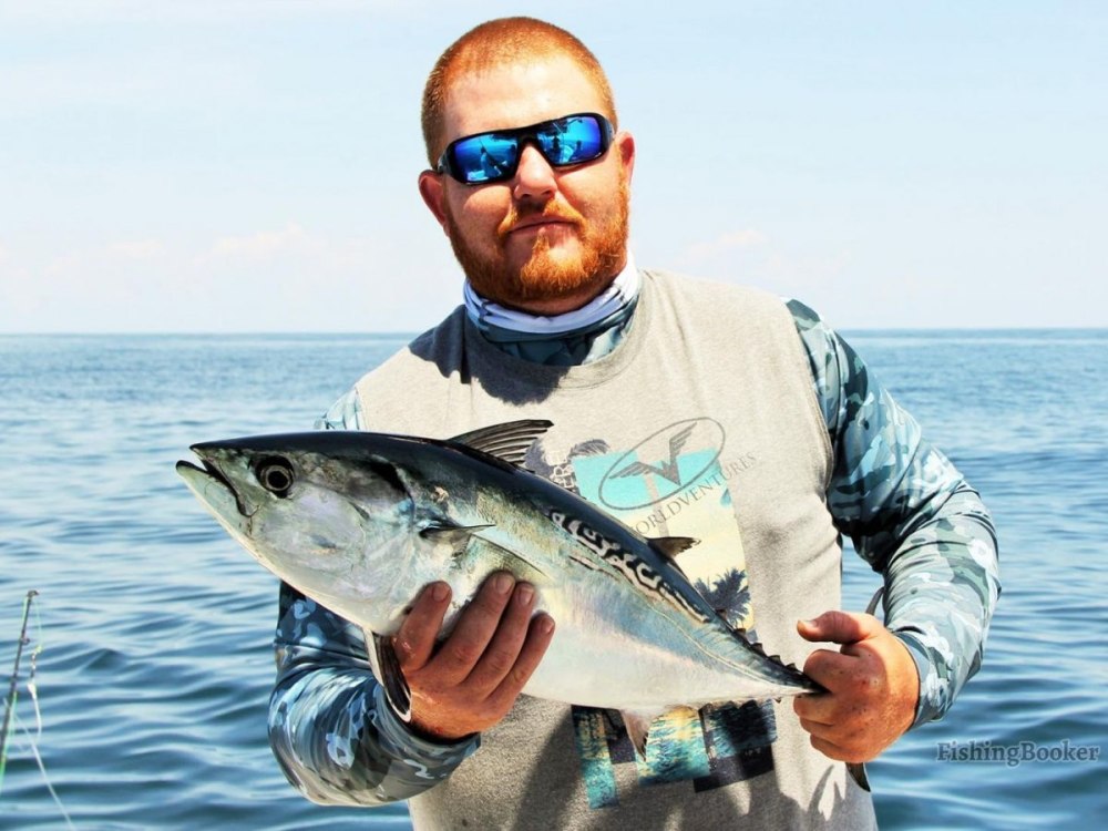 Truck rrinov 10 Tuna