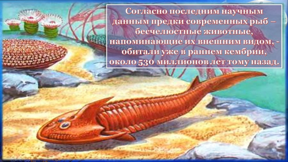 Предки рыб