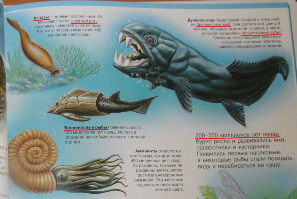 Биологические ляпы