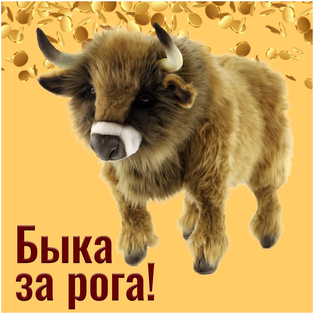 Бык хека 6615 Hansa