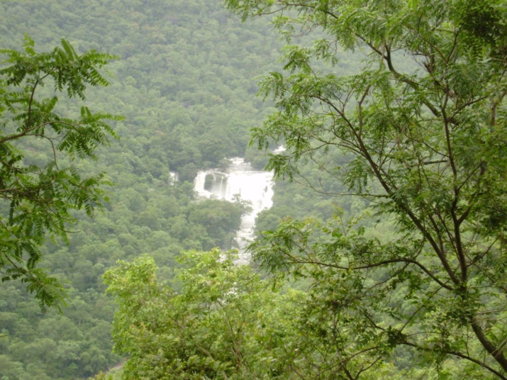 Anamudi Shola National Park
