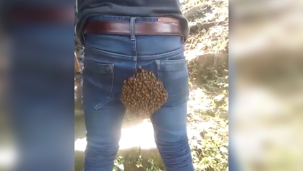 Пчелиный Рой на человеке