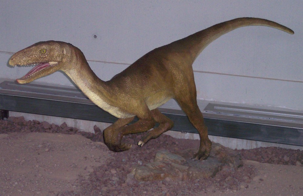 Силезавр. Silesaurus opolensis