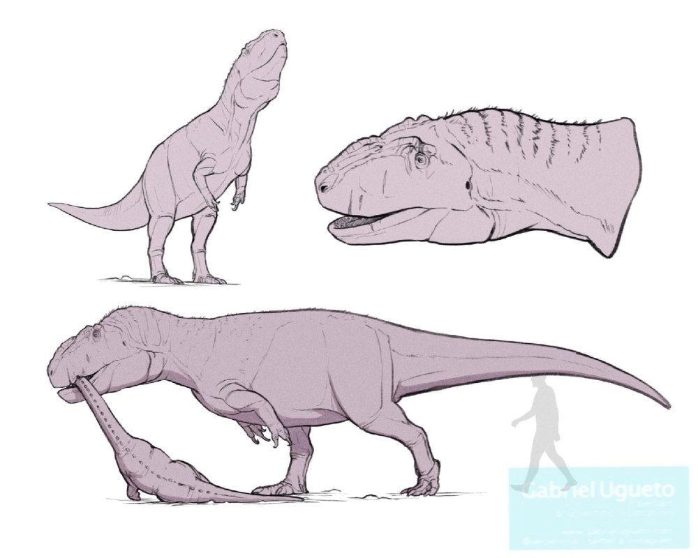 Yangchuanosaurus виды