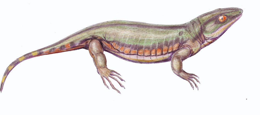 Гилономус (Hylonomus)