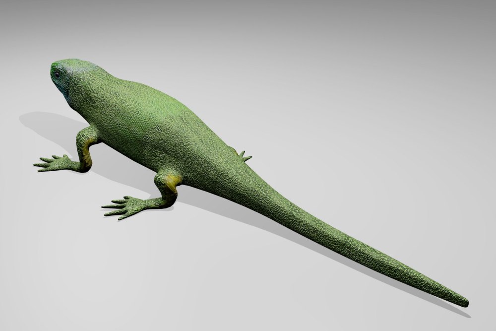 European Green Lizard 3d