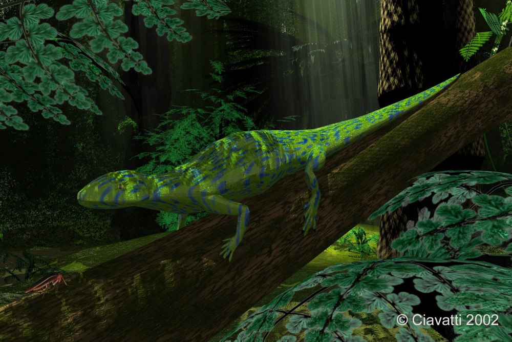 Hylonomus lyelli