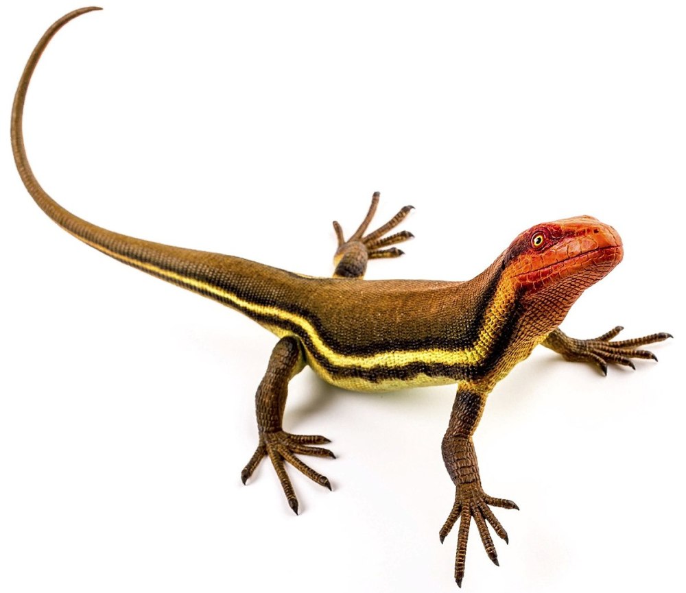 Hylonomus lyelli