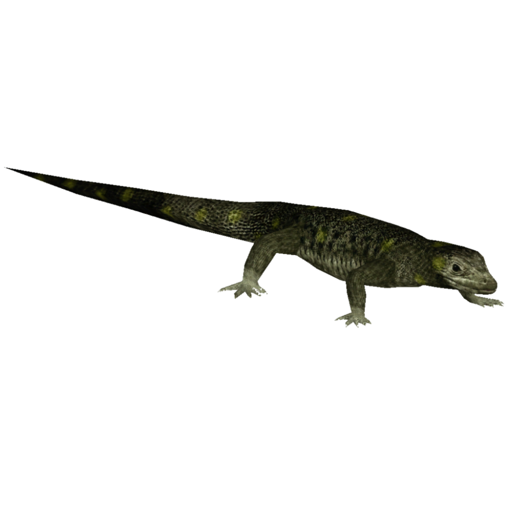 Hylonomus lyelli