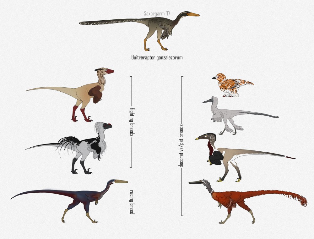 Buitreraptor gonzalezorum