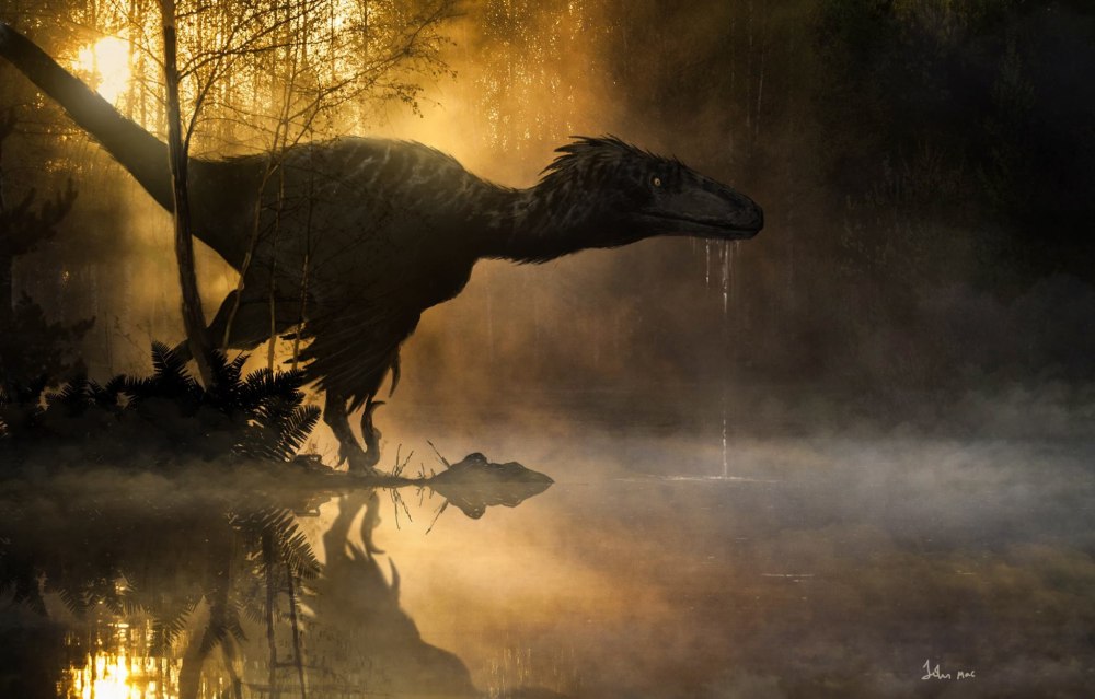 Utahraptor ostrommaysi