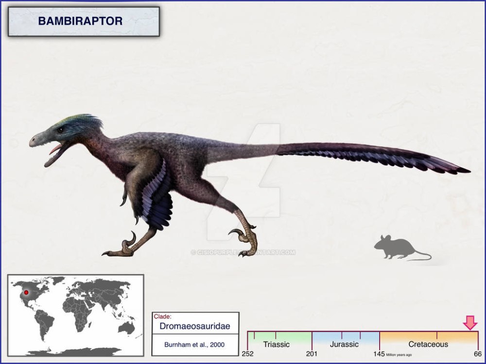 Bambiraptor динозавр