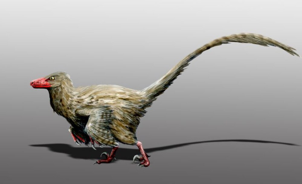 Hesperonychus elizabethae