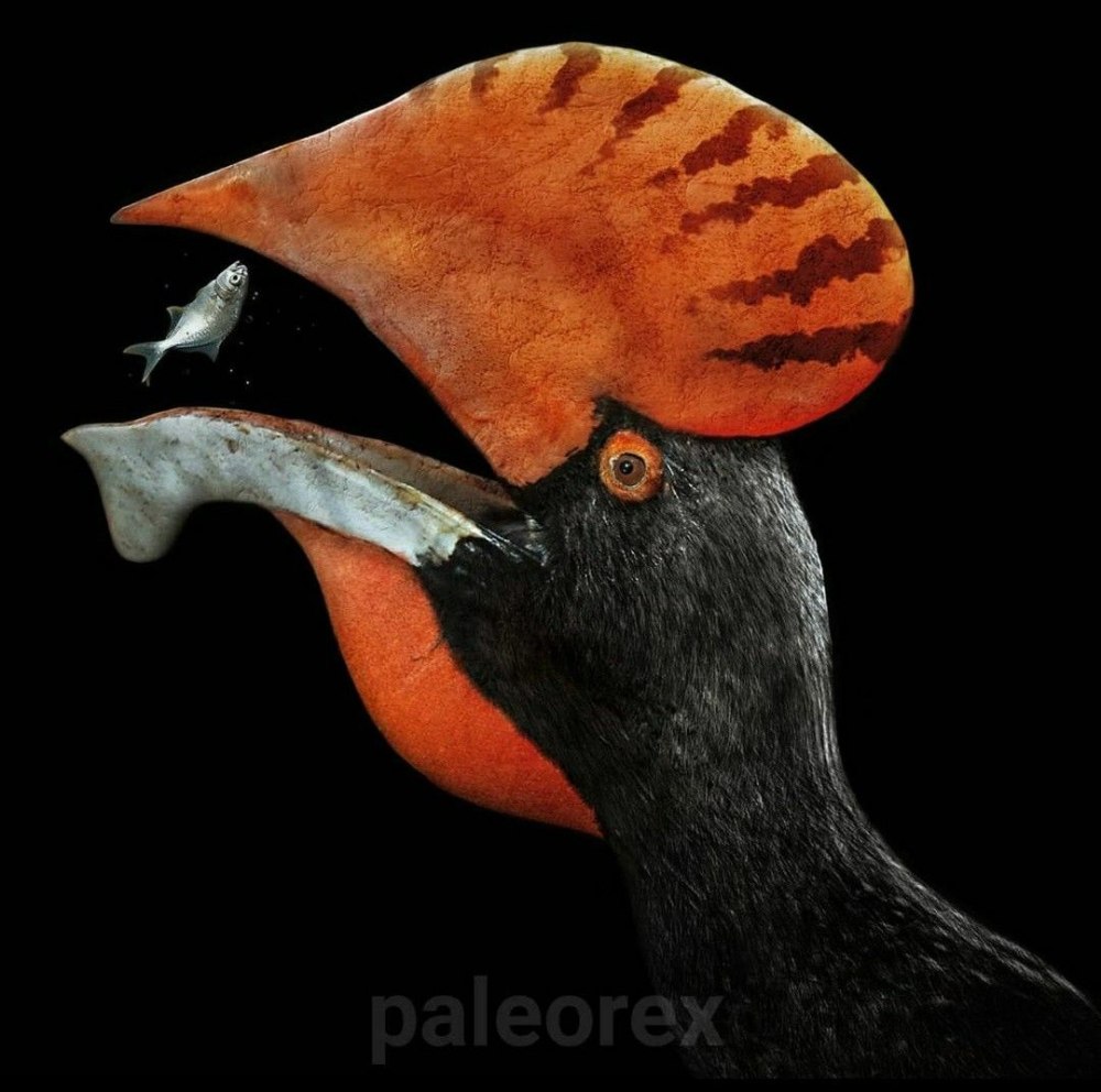 PALEOREX Art