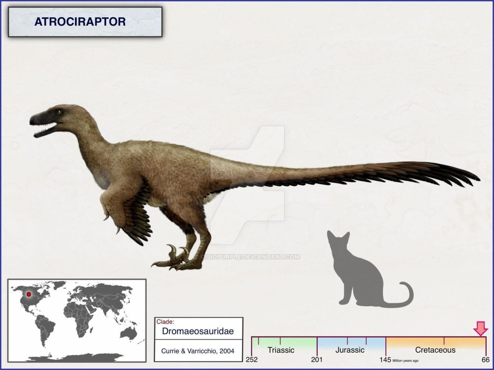 Atrociraptor marshalli