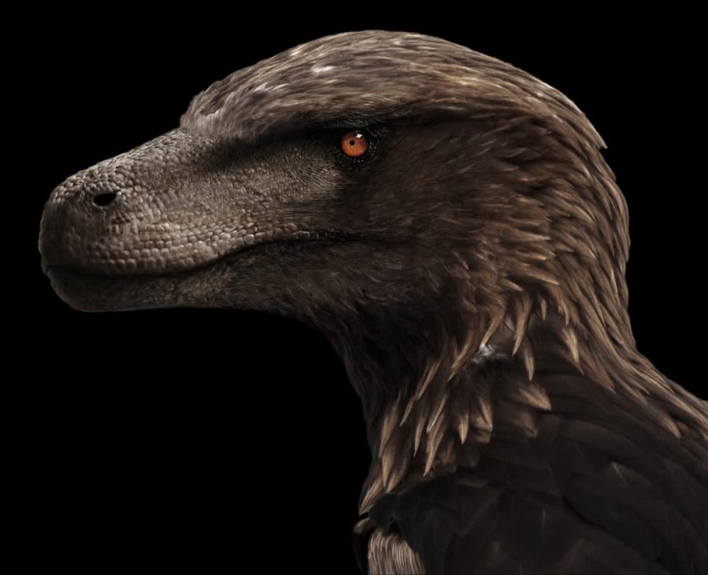 PALEOREX
