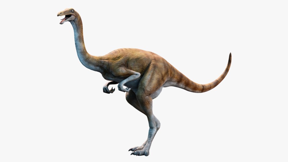 Ornithomimus л2