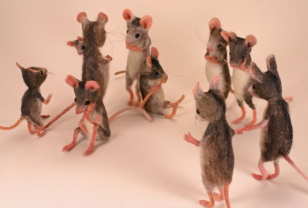 Шесть крыс