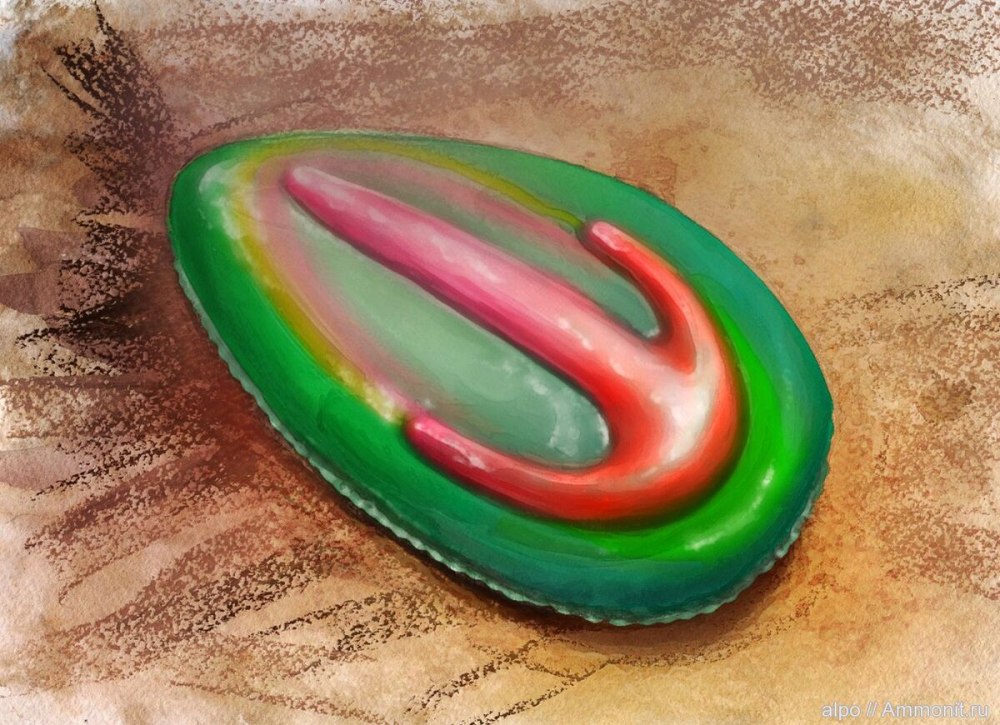 Archaeaspis fedonkini