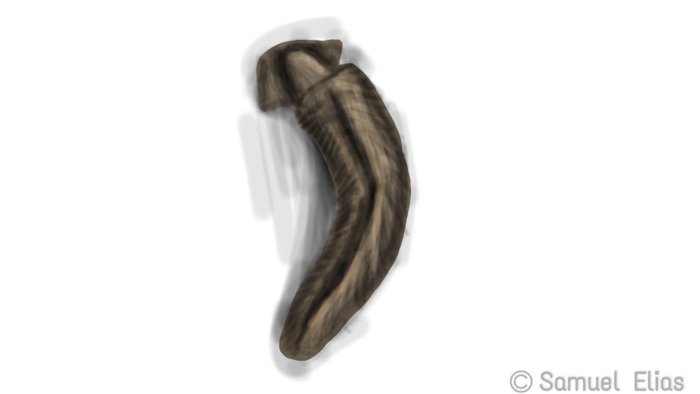 Сприггина PNG