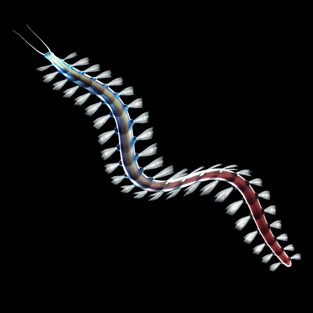 Annelida игра