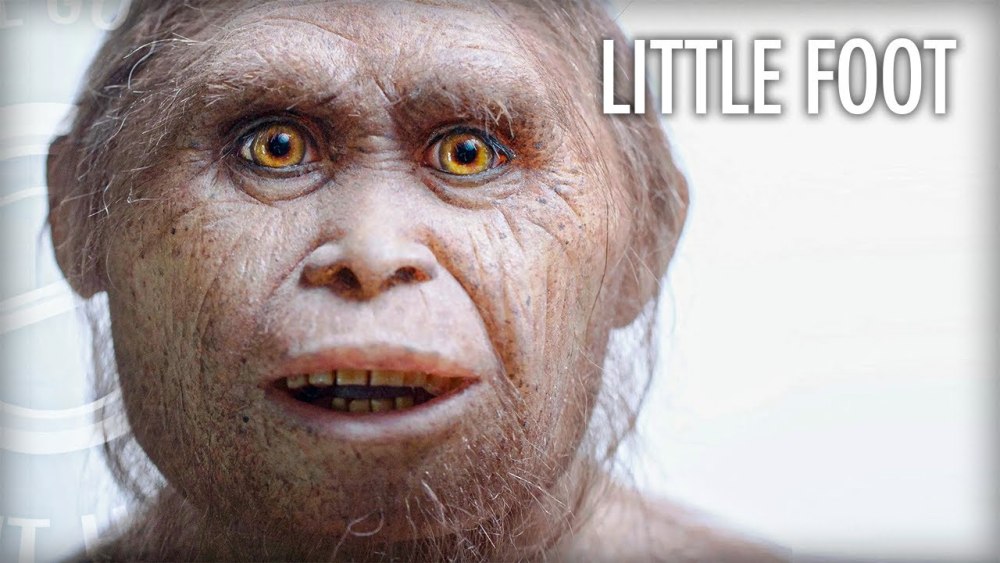 Человек флоресский homo floresiensis