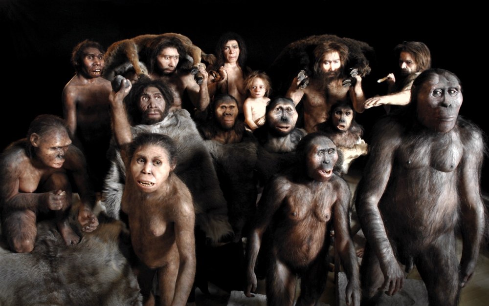 Homo sapiens человек разумный фильм 2005
