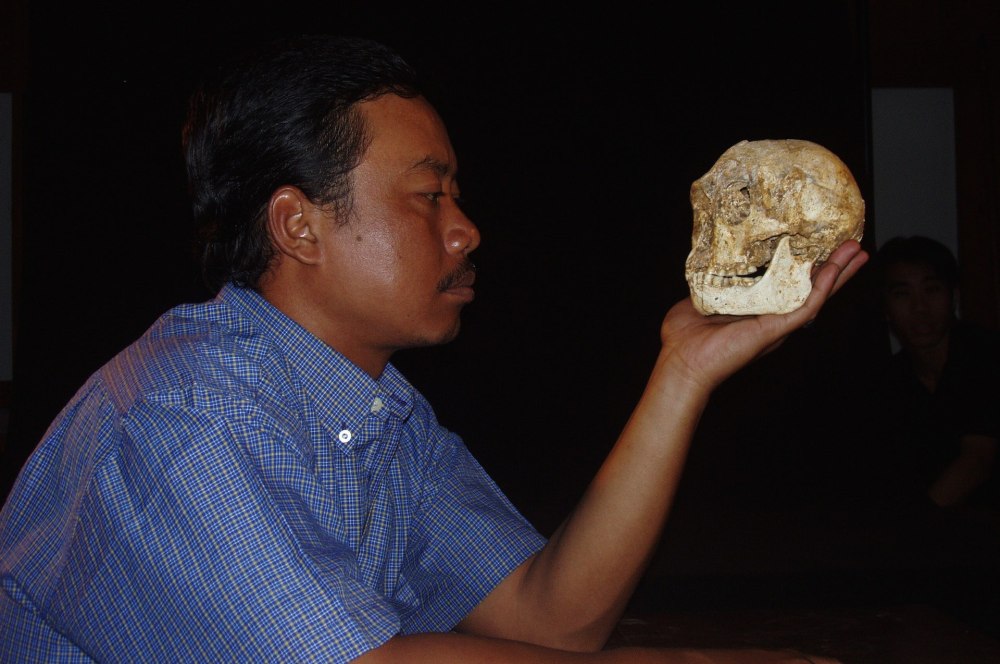 Homo Naledi и человек флоресский