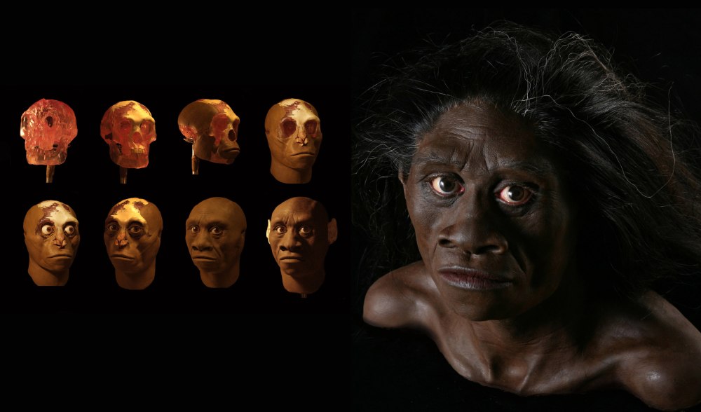 Человек флоресский homo floresiensis
