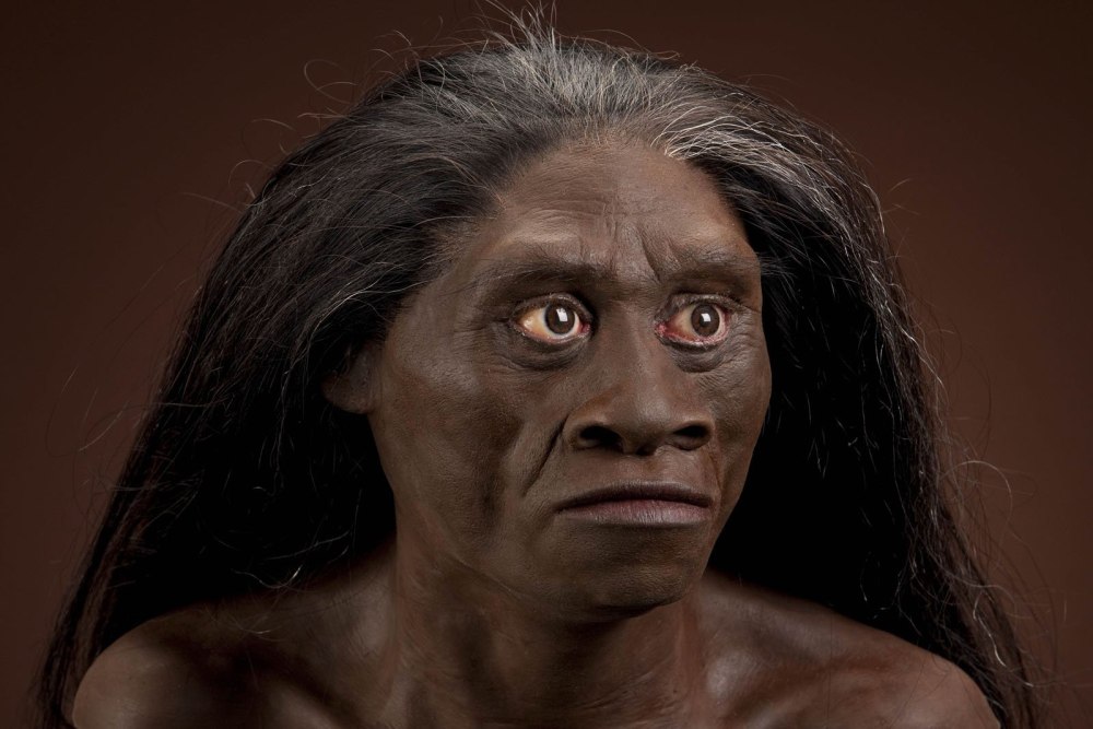 Человек флоресский homo floresiensis