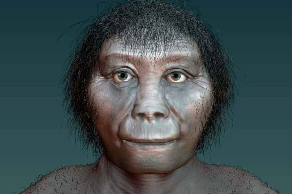 Человек флоресский homo floresiensis