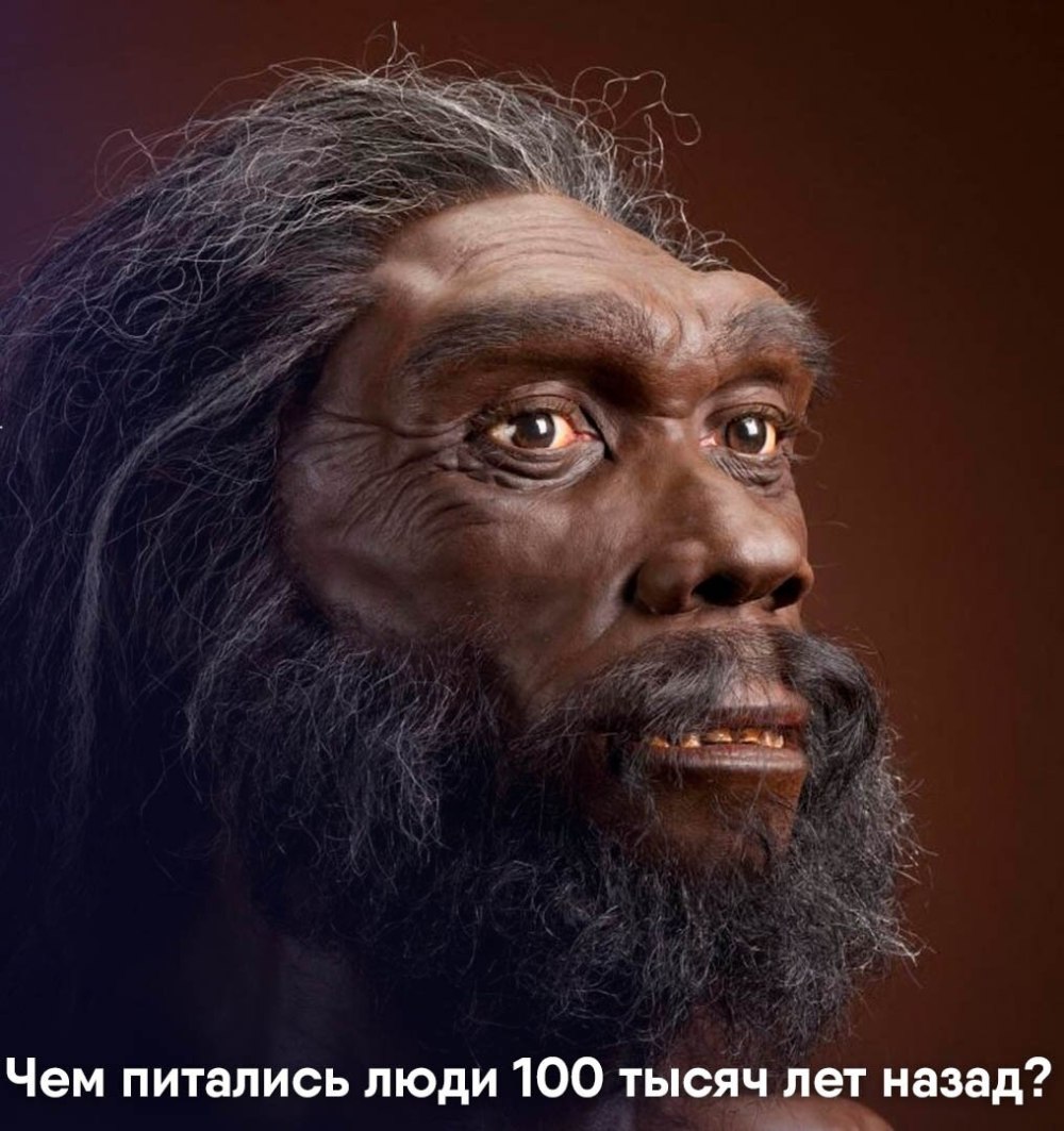 Гейдельбергский человек