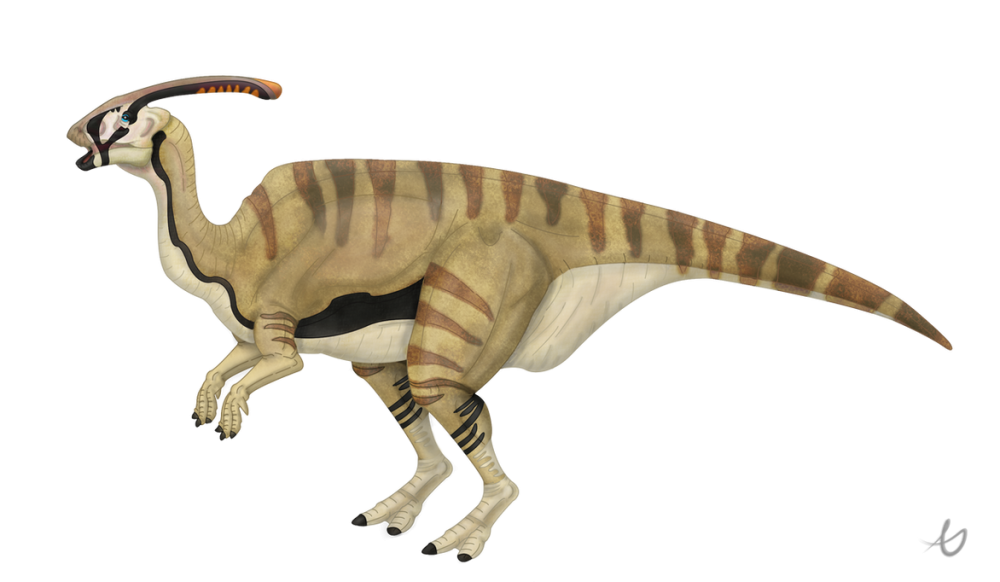 Charonosaurus Parasaurolophus