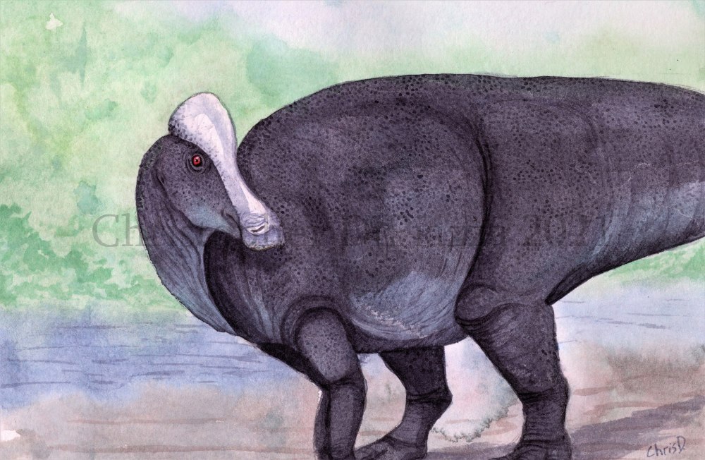 Hypacrosaurus stebingeri