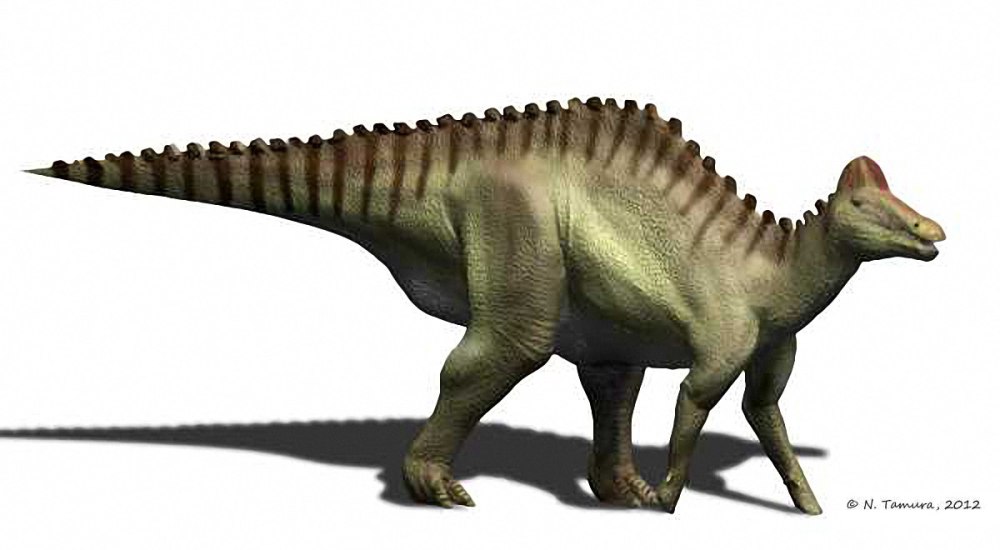 Hypacrosaurus stebingeri