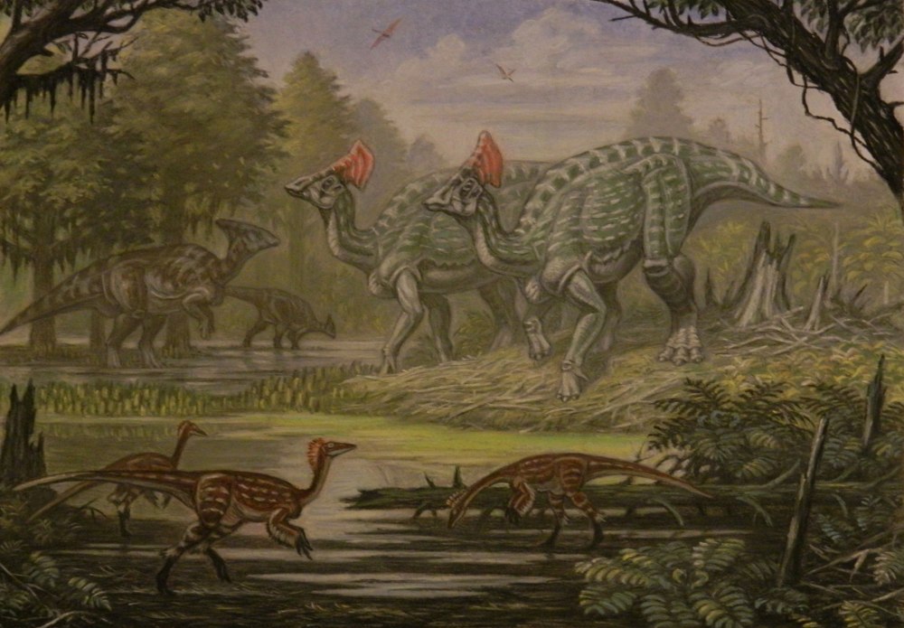 Olorotitan arharensis