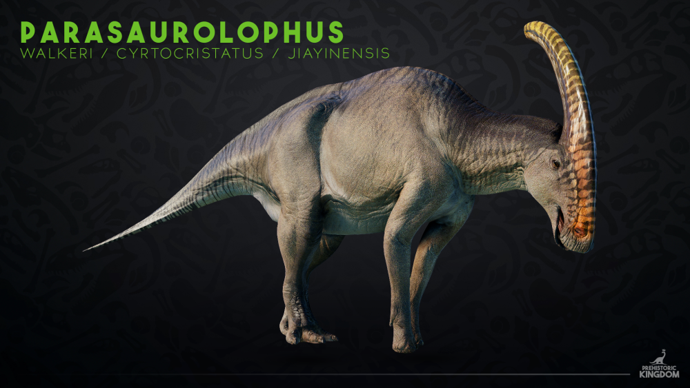 Паразвролопхус Jurassic