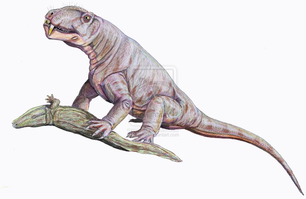 Titanophoneus adamanteus