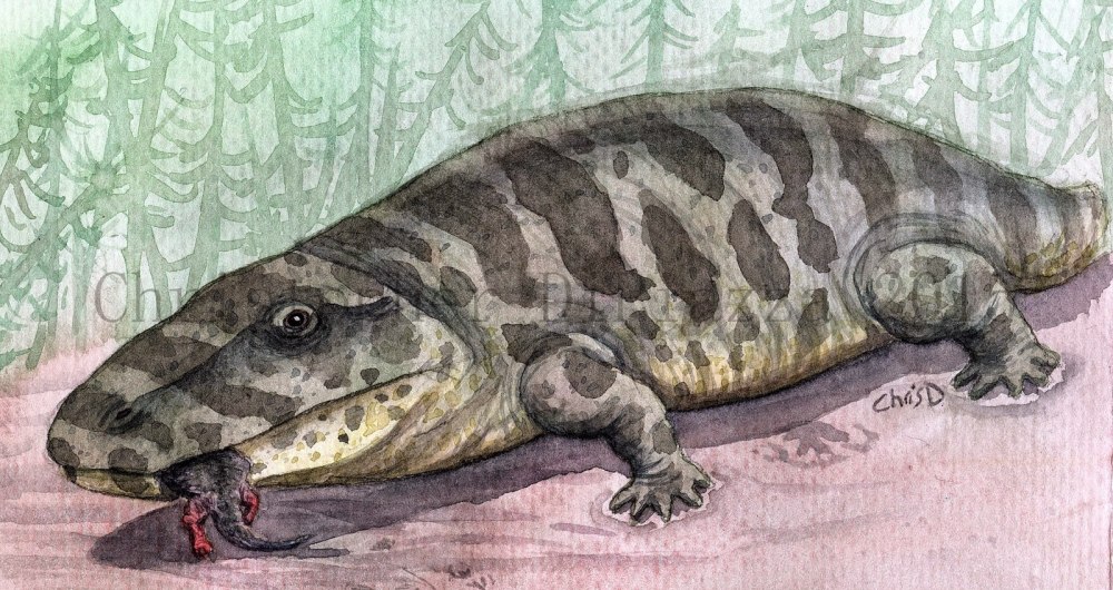 Eryops megacephalus