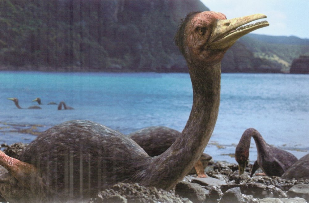 ГЕСПЕРОРНИС Primeval