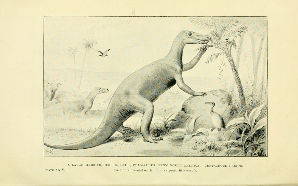 Extinct Monsters and creatures of other Days