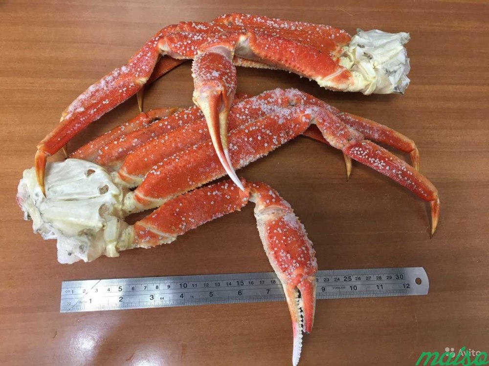 Конечности краба стригуна