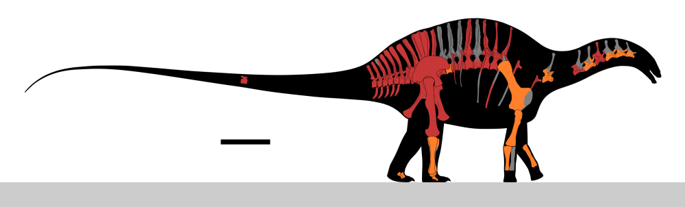 Дикреозавр атакованный Yangchuanosaurus