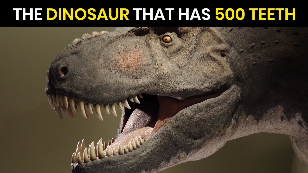 Which dinosaur had 500 teeth. Нигерзавр(Nigersaurus). Tyrannosaurus Rex. Динозавр с 500 зубами.